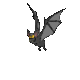 animated-bat--008