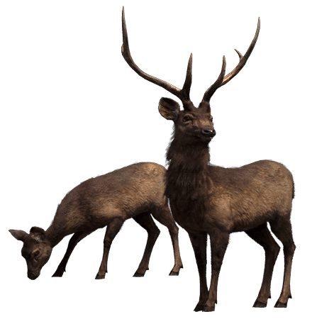 deer-transparent-background-gameznet-16