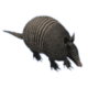 Armadillo-transaparent-gameznet-free-greenscreen-assets