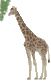 free-girafe-animated-gifs