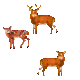 gameznet-animated-deer-001