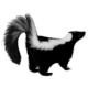 skunk-transparent-background-gameznet-01