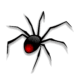 spider-transparent-images-gameznet-01